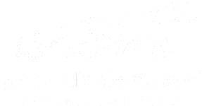 Group Elephant